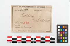 Etikett zu Bronzemelonenarmreif (NHMW-PRAE-025365)